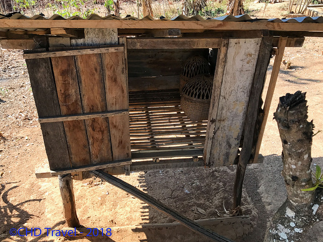 Chicken's house